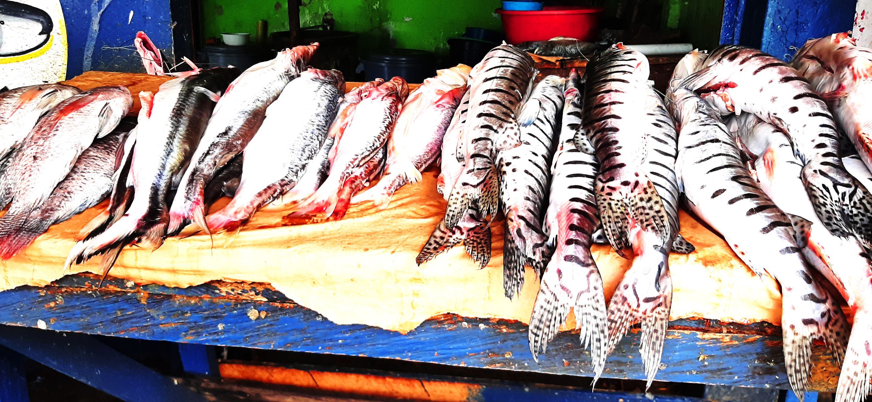 Pescados tipicos