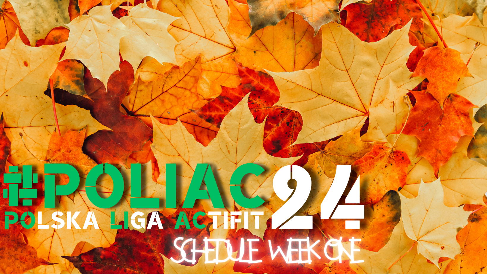 POLIAC24(1).png