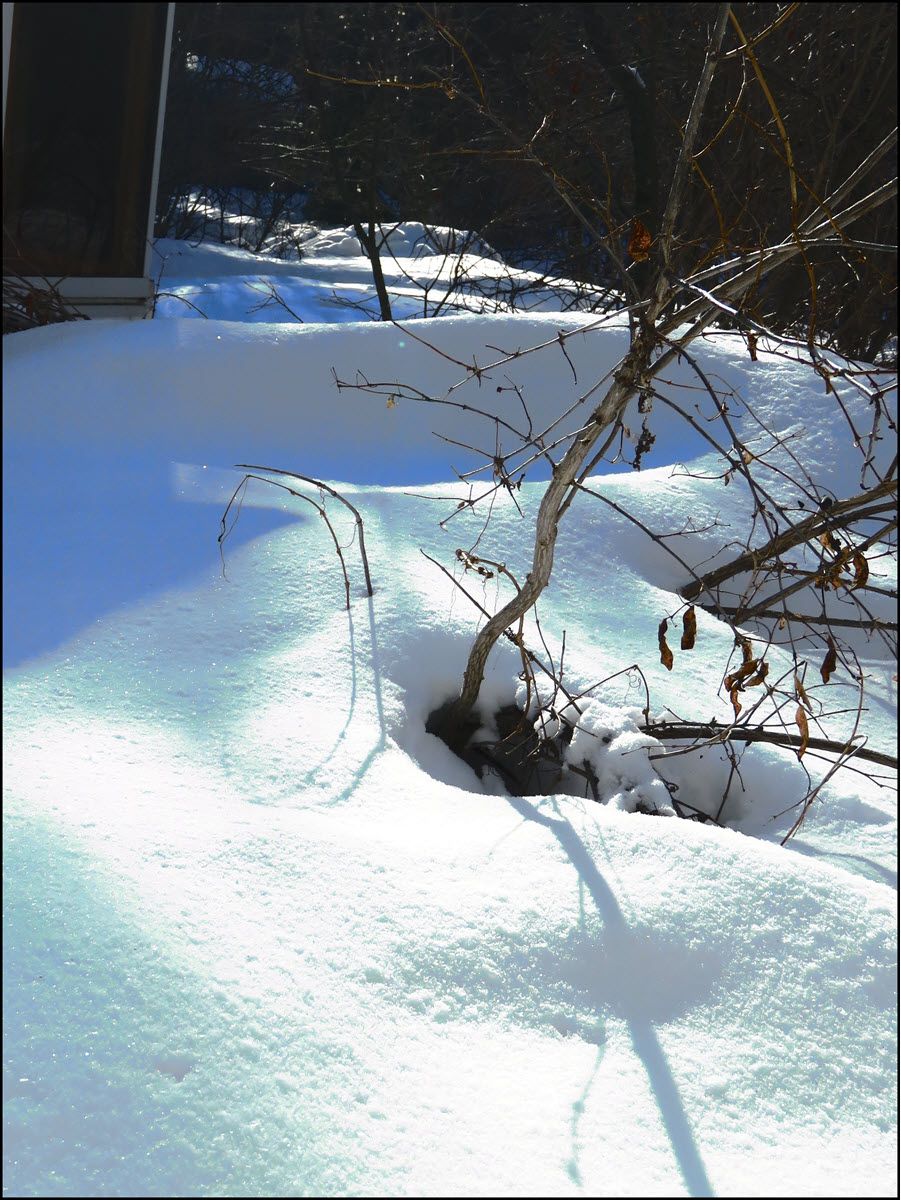waves of snow by sunroom 2.JPG