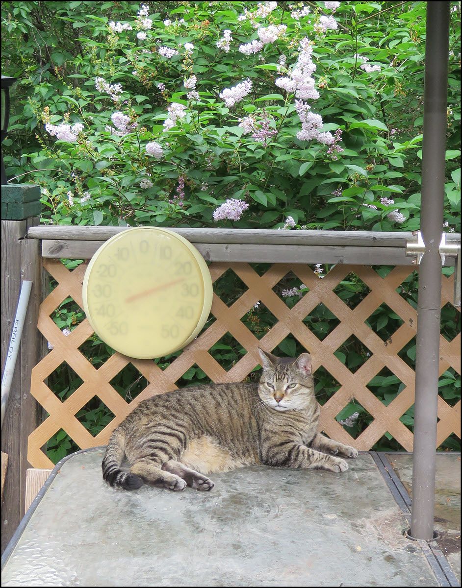 JJ on table.JPG