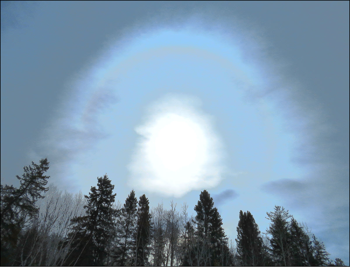 ring around sun over trees filtered.JPG