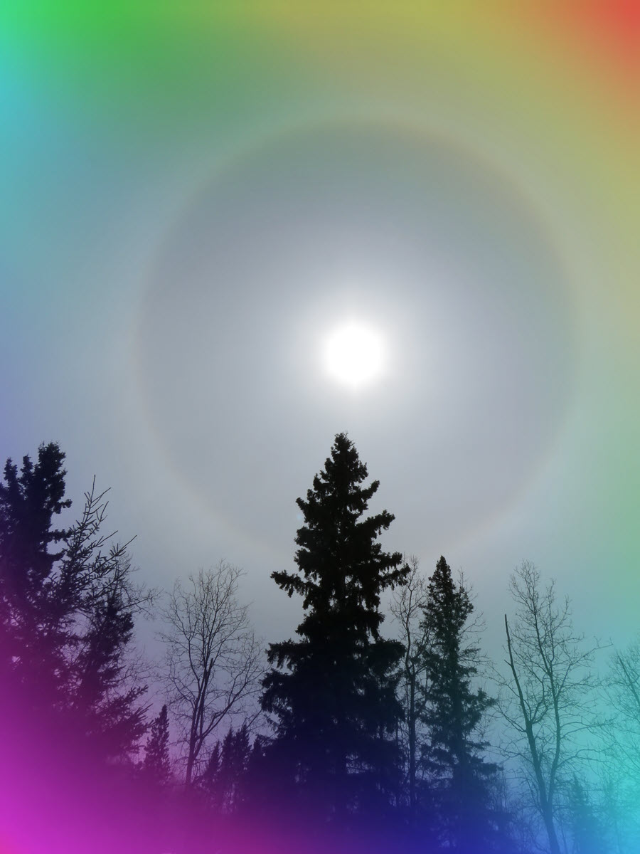 rainbow view of ring around sun over trees.JPG