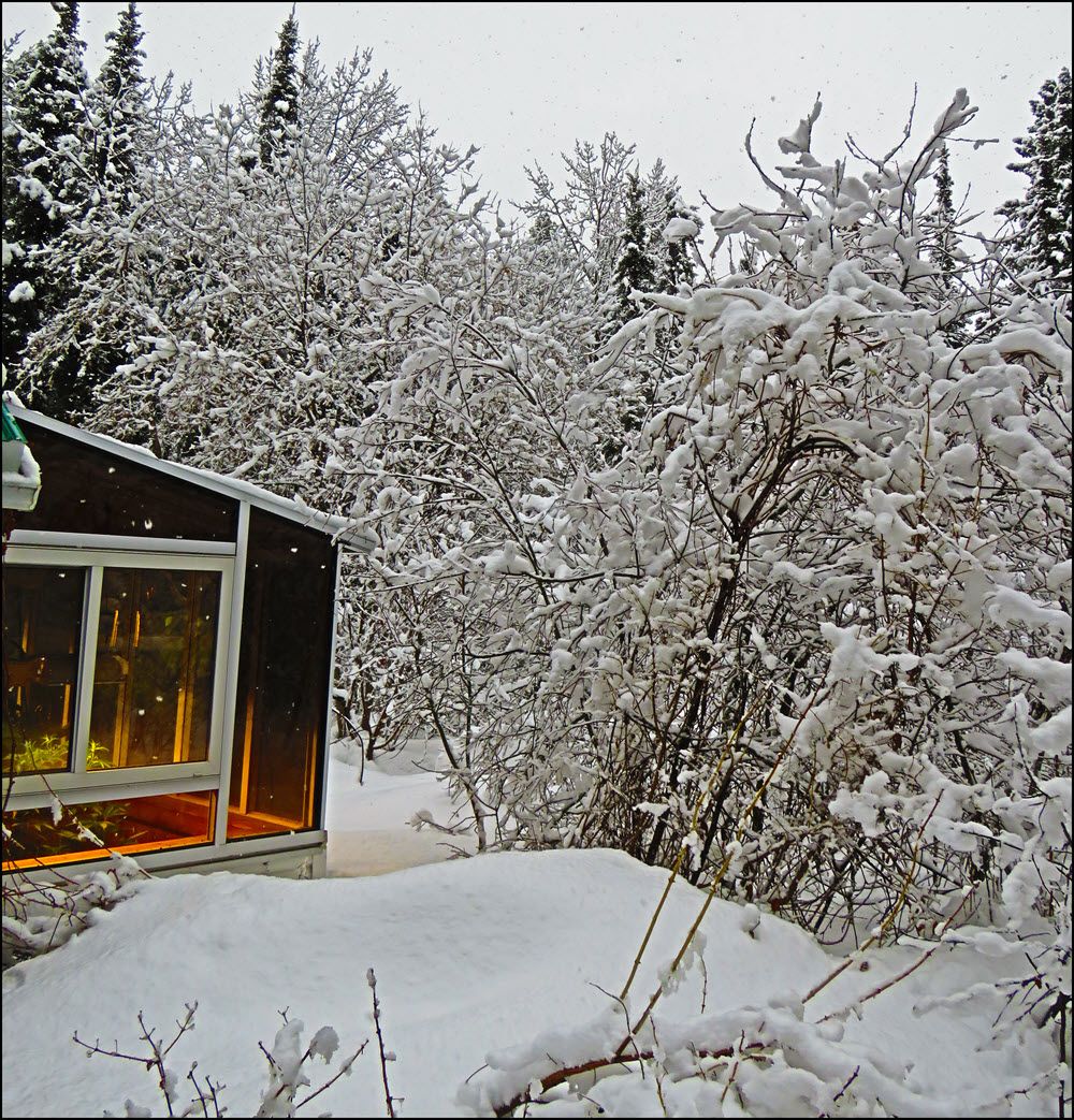 snowy scene looking towards side of sunroom.JPG