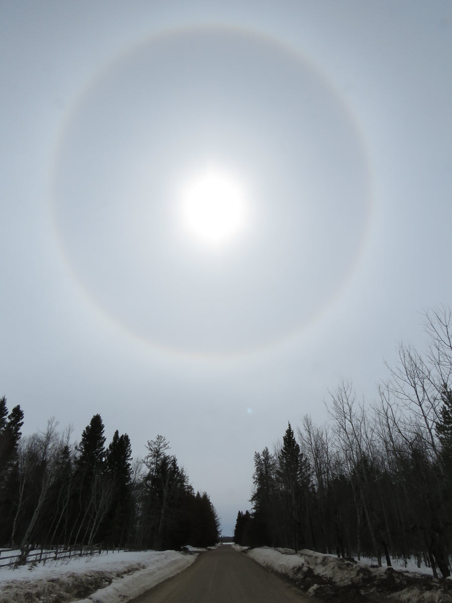ring around sun over road and evergreens.JPG
