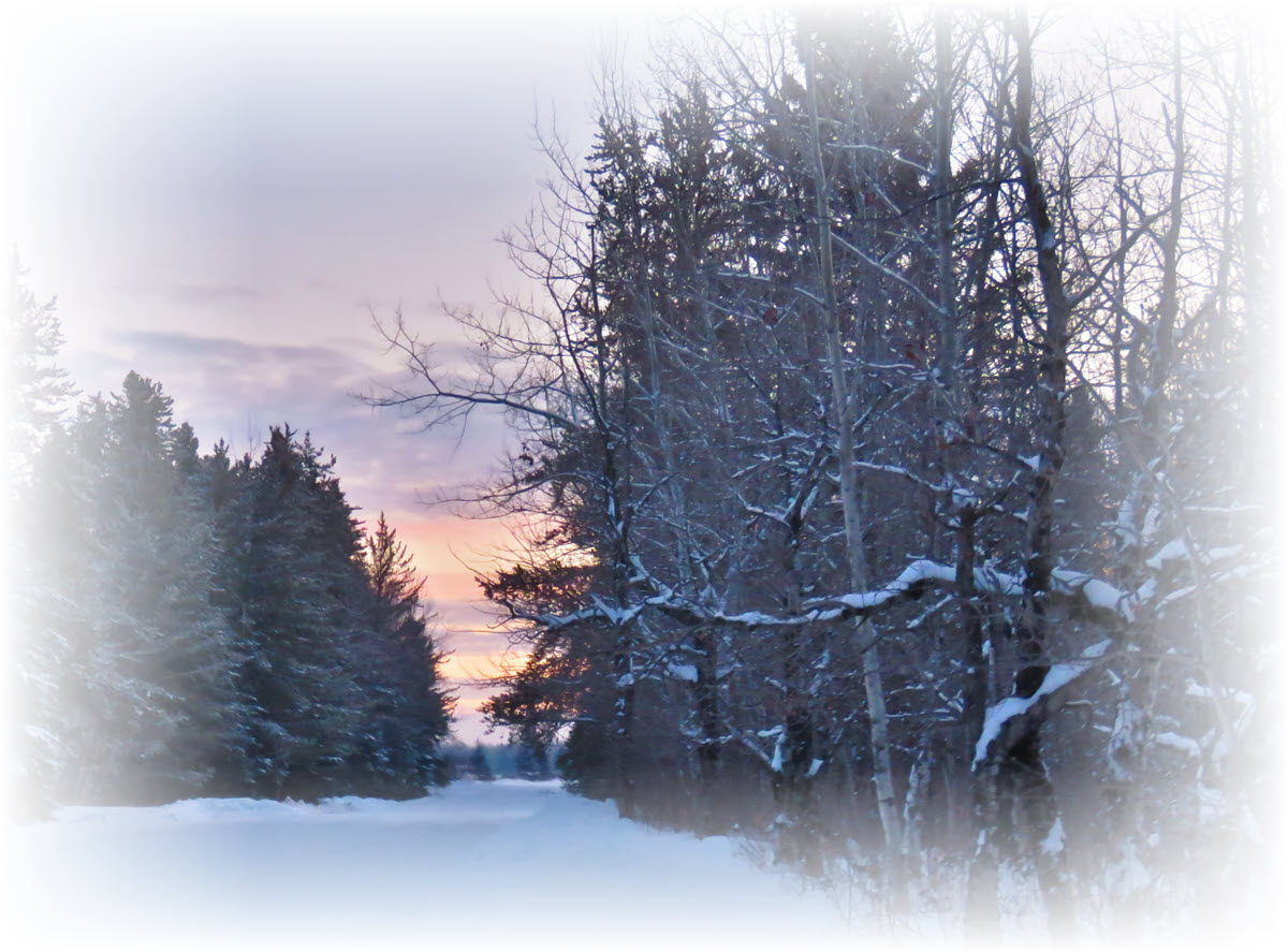frosted scene snowy branch pointing to sunset at end of road.JPG
