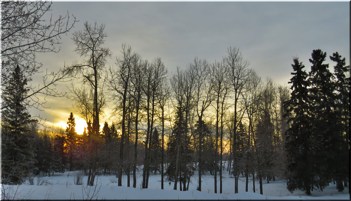 glowing sun rising in trees around frozen pond.JPG