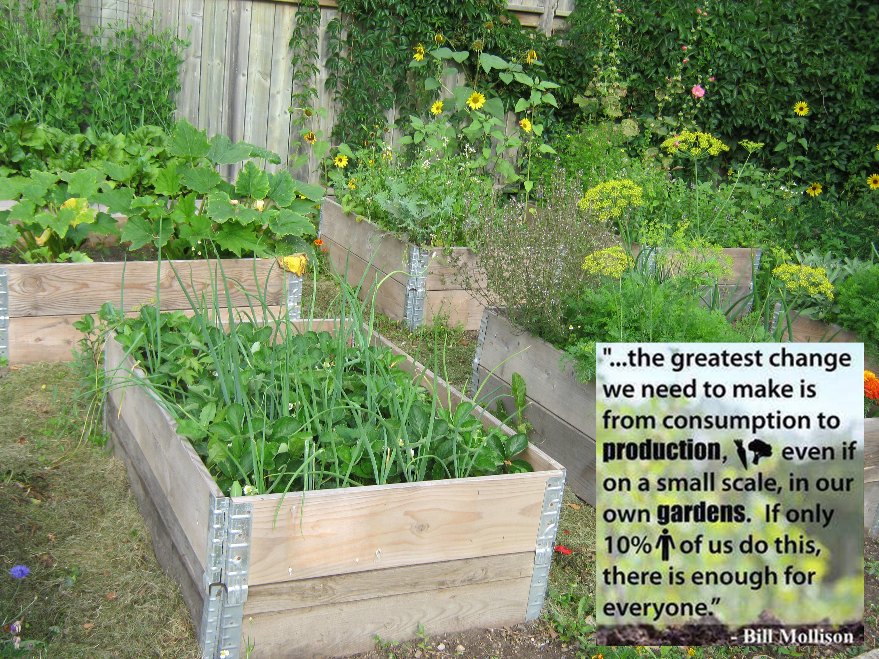 packing box raised beds - consumer message.jpg