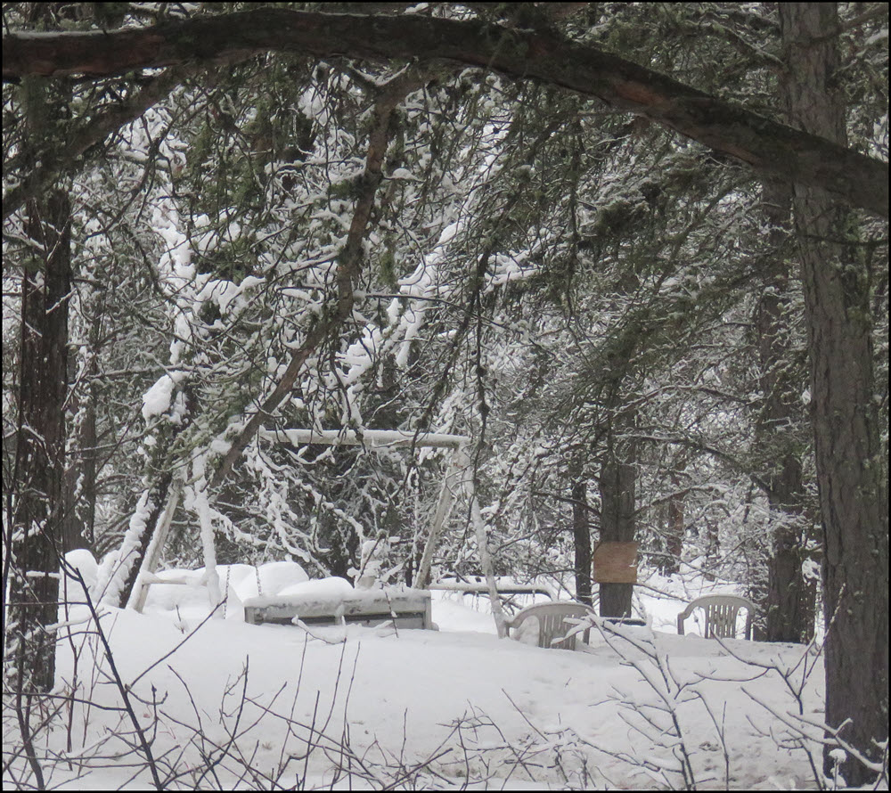 snowy scene looking at snow covered chairs around firepit.JPG