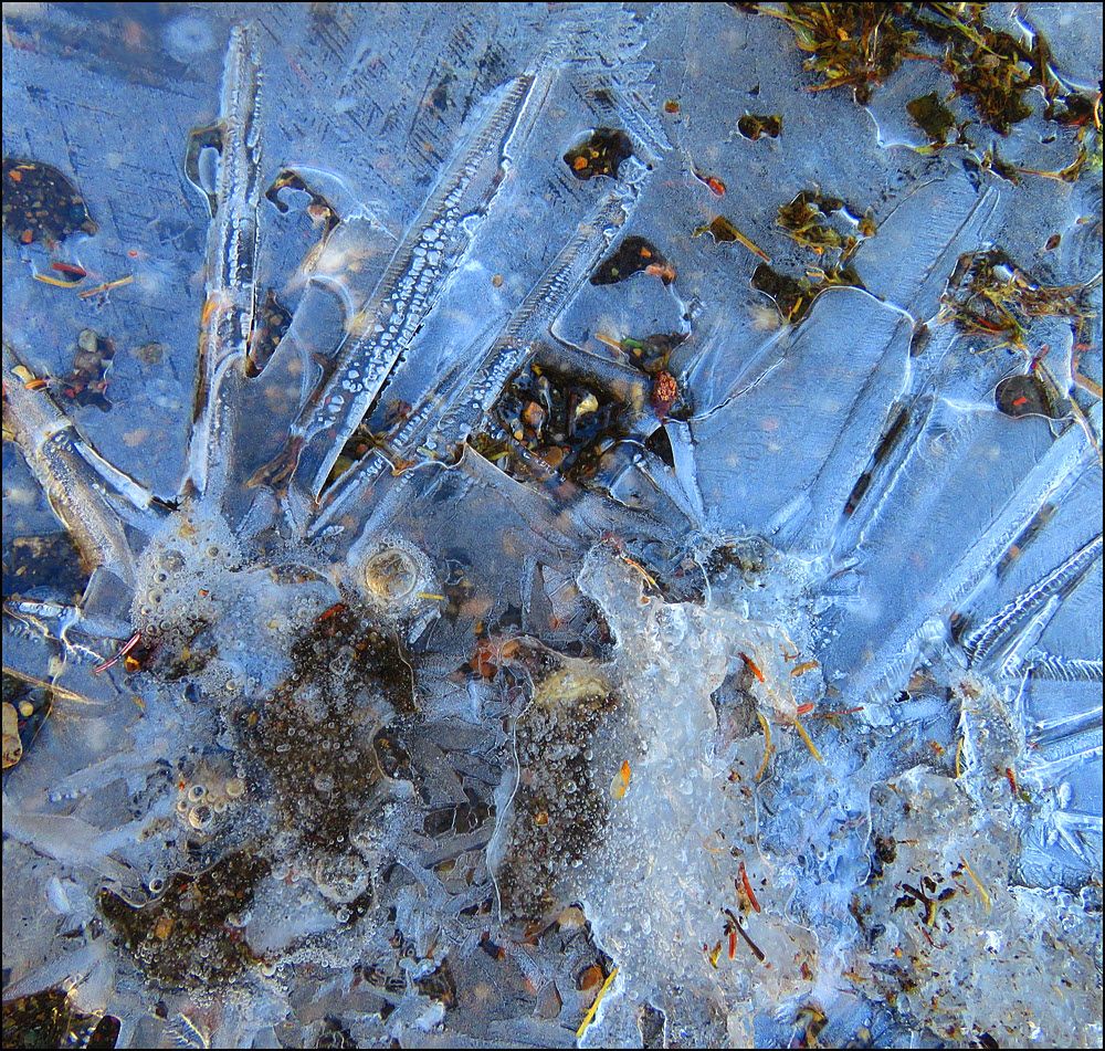 patterns in the ice 2.JPG