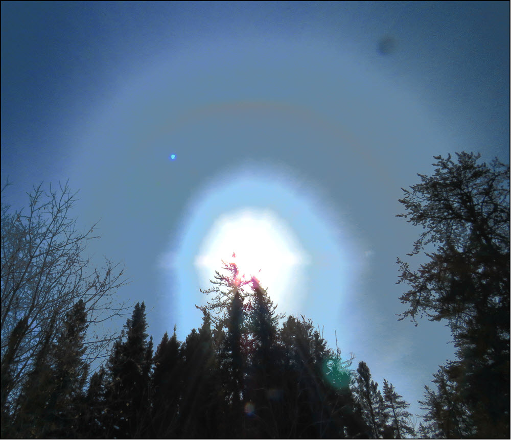 sun with rings on top of evergreen trees in blue filter.JPG