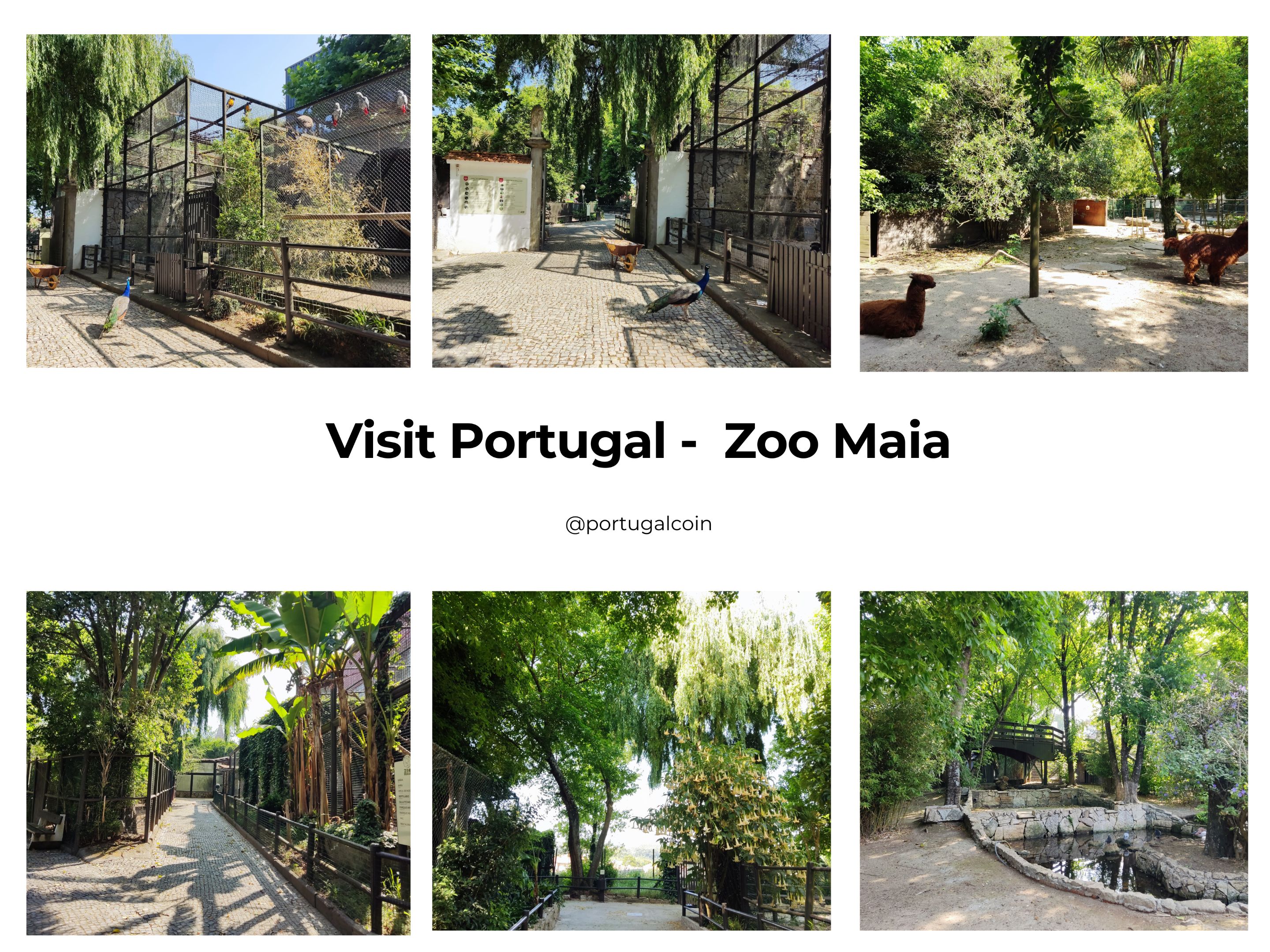 Visit Portugal - Zoo.png