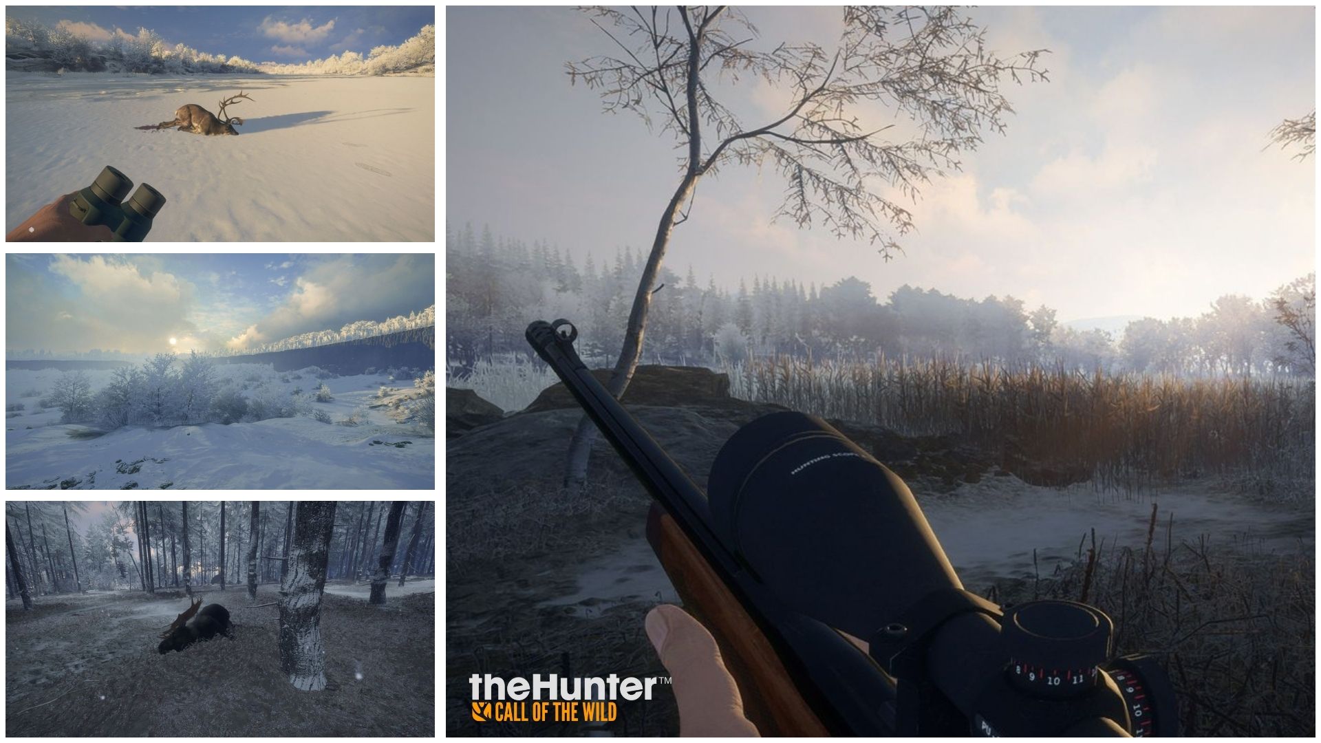 RIGHTFIX - …
Payout: 0.000 HBDAdventures in the Siberian Wilderness | theHunter: Call of the Wild
2025-10-09 05:19Hello and welcome back to my blog! <center> ![