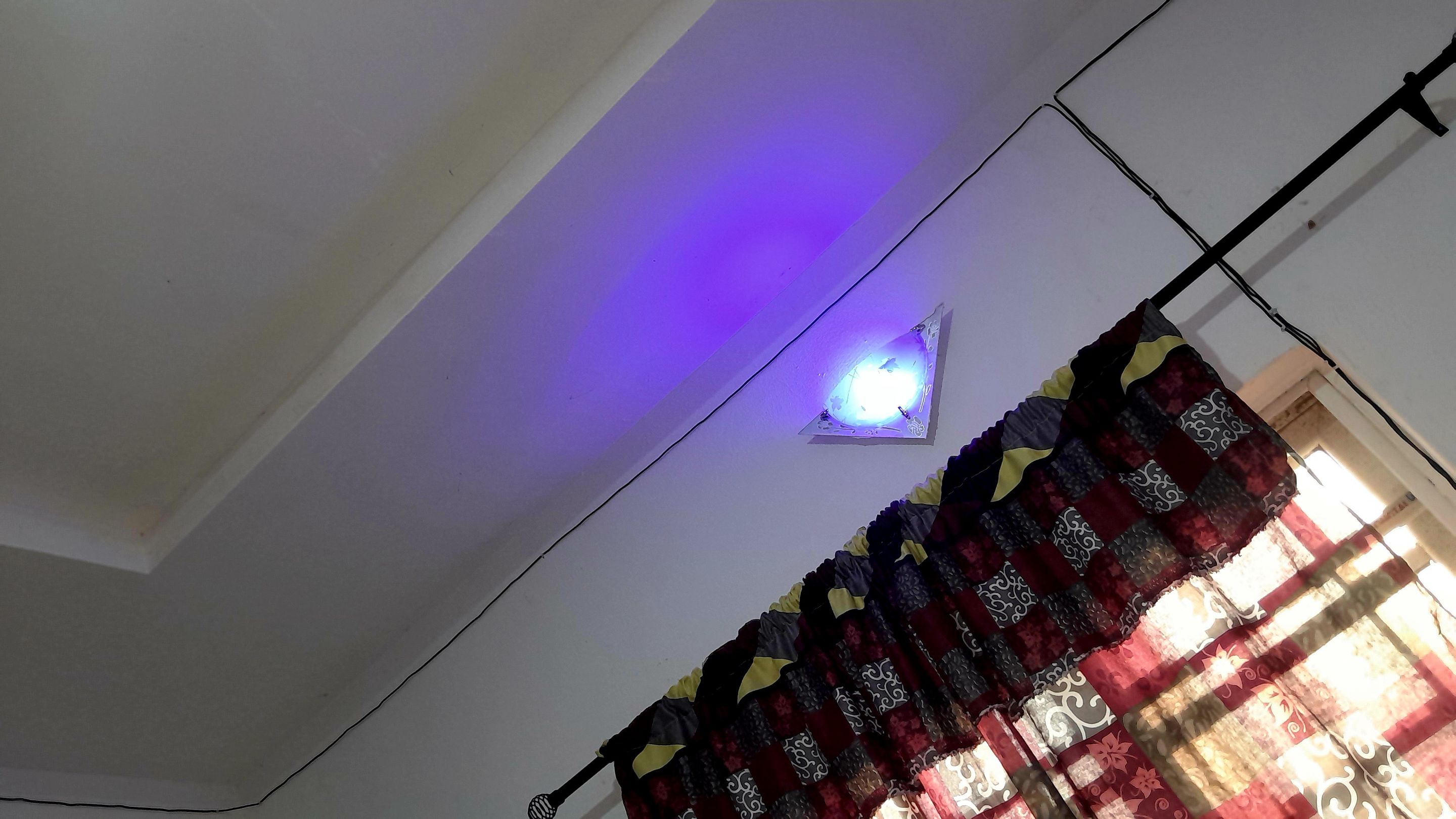 1000524587.jpg