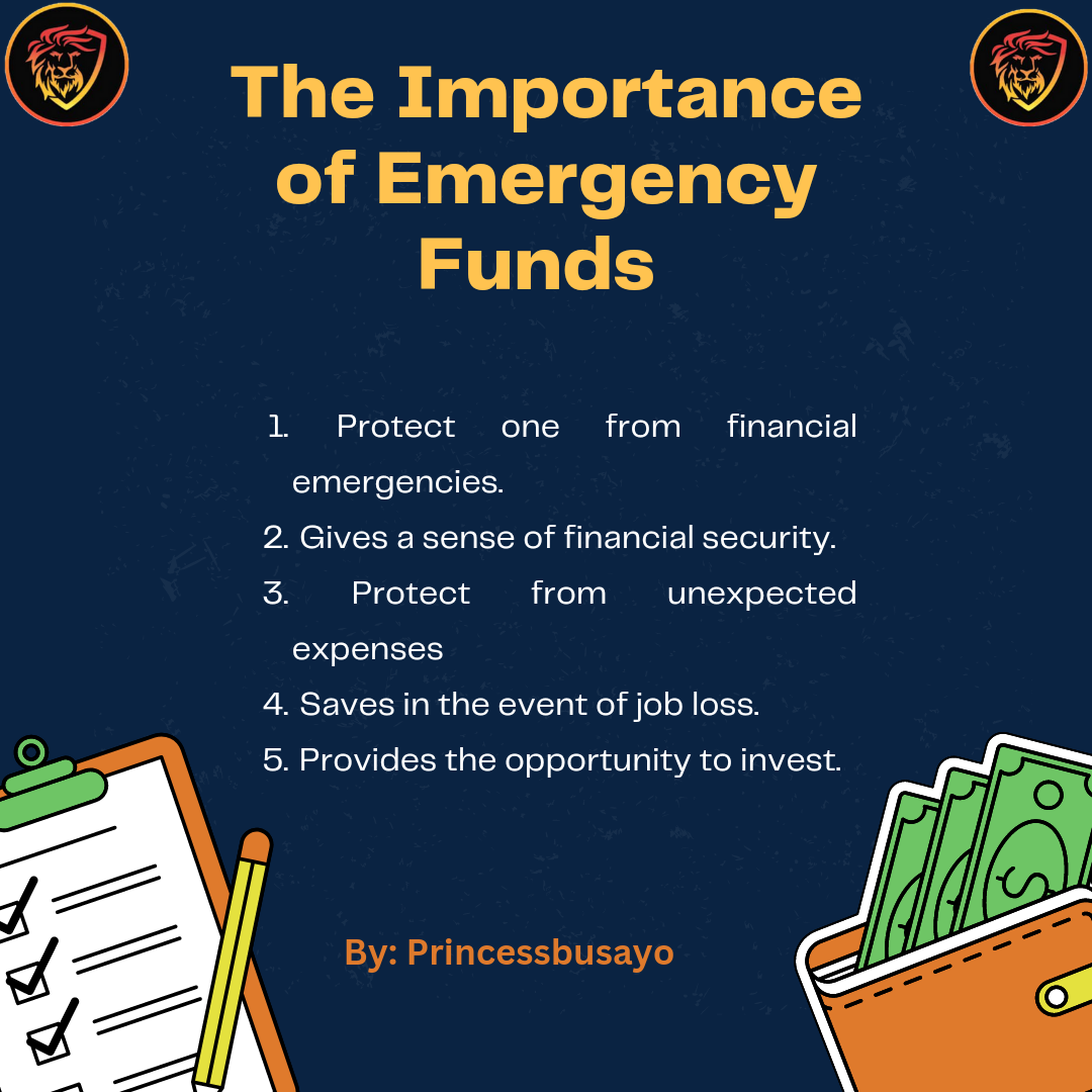 @princessbusayo/the-importance-of-emergency-funds
