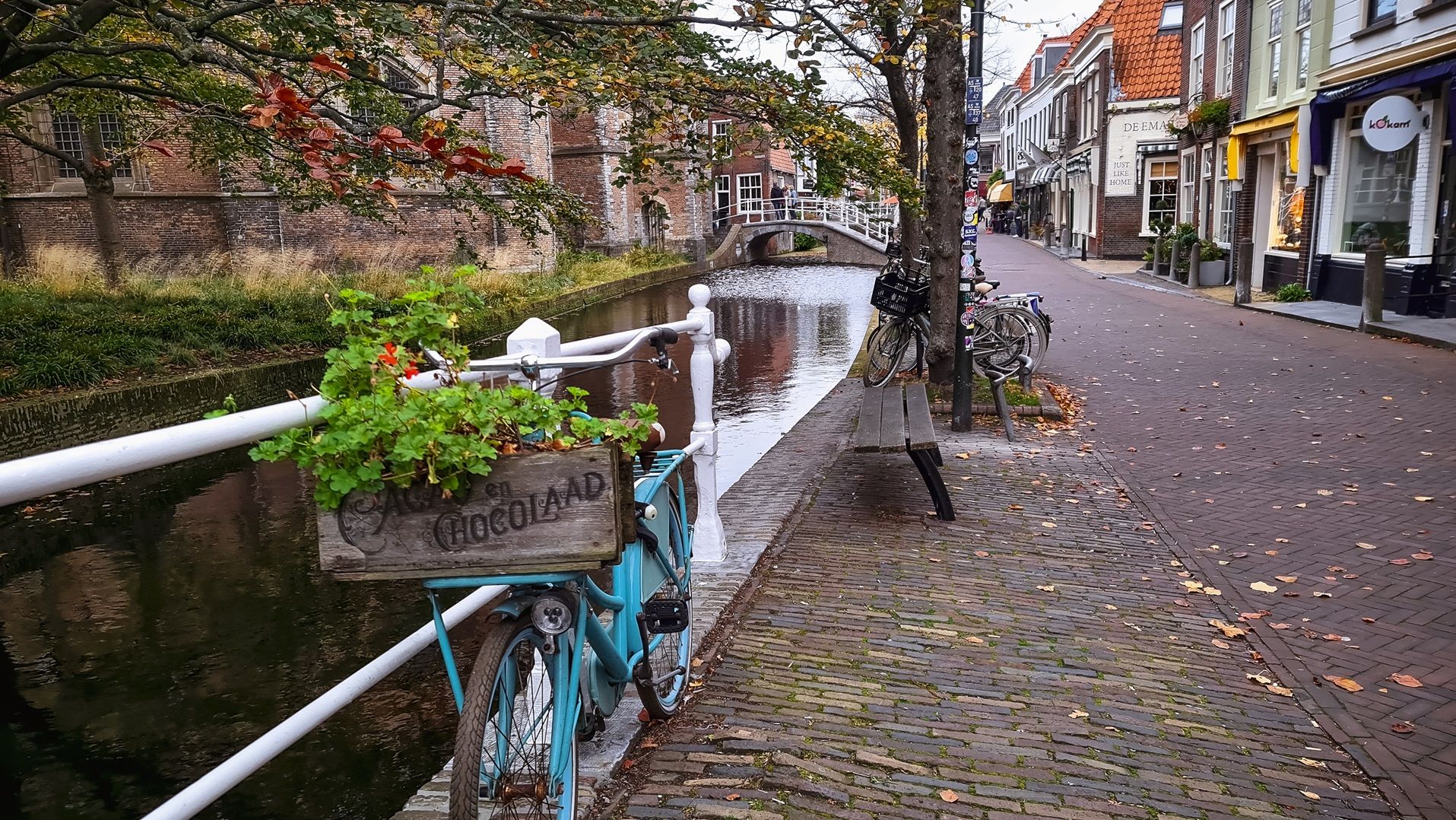 20241020_151947.jpg