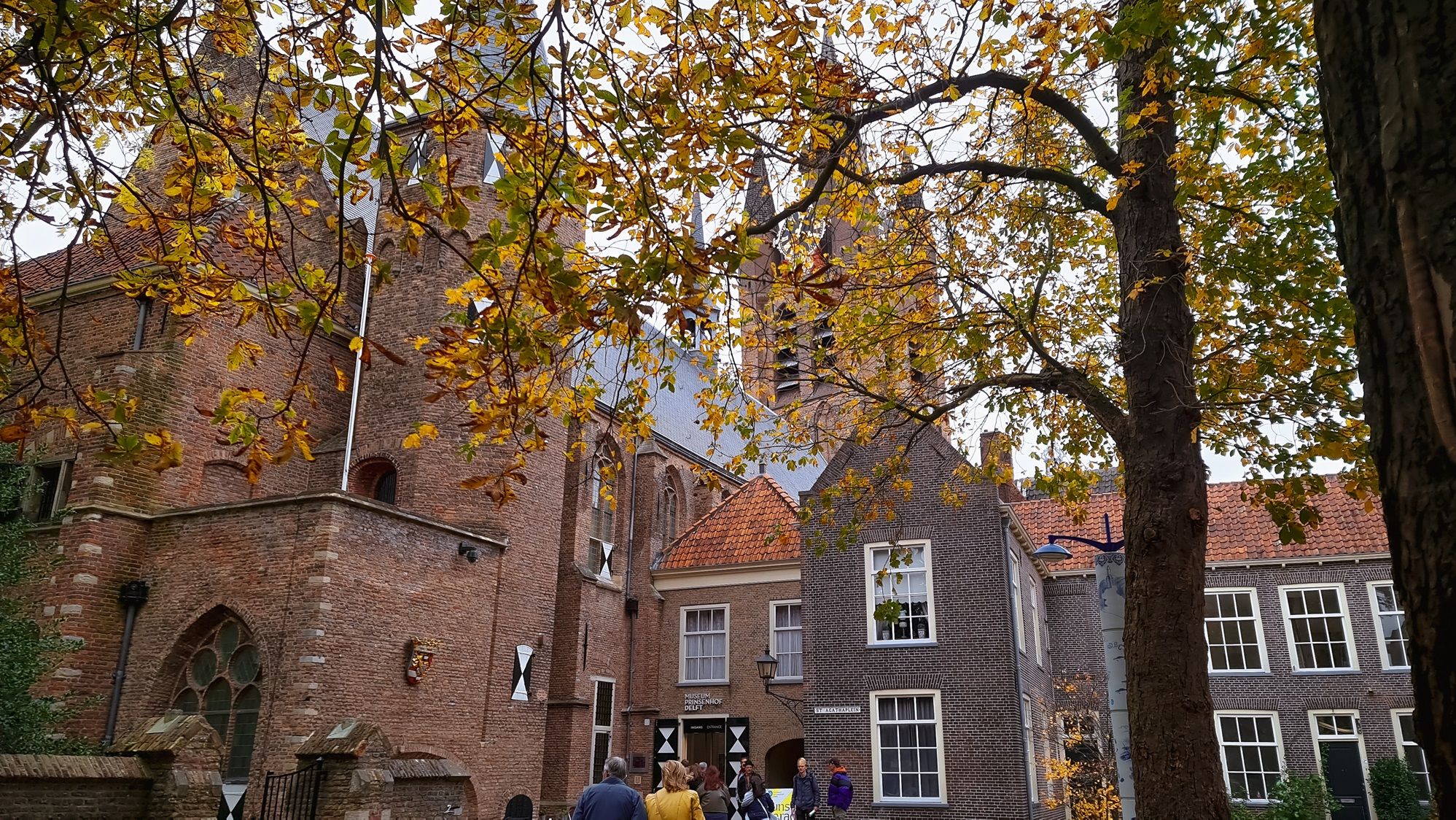 20241020_160424.jpg