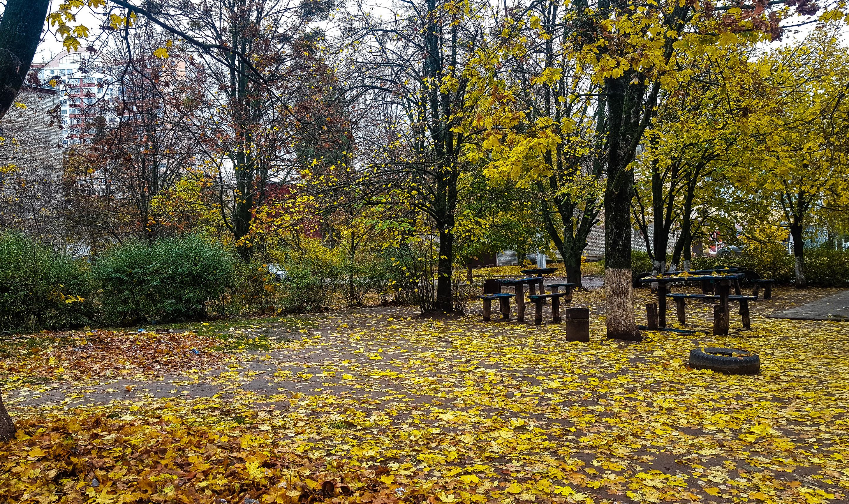 20201103_131925.jpg