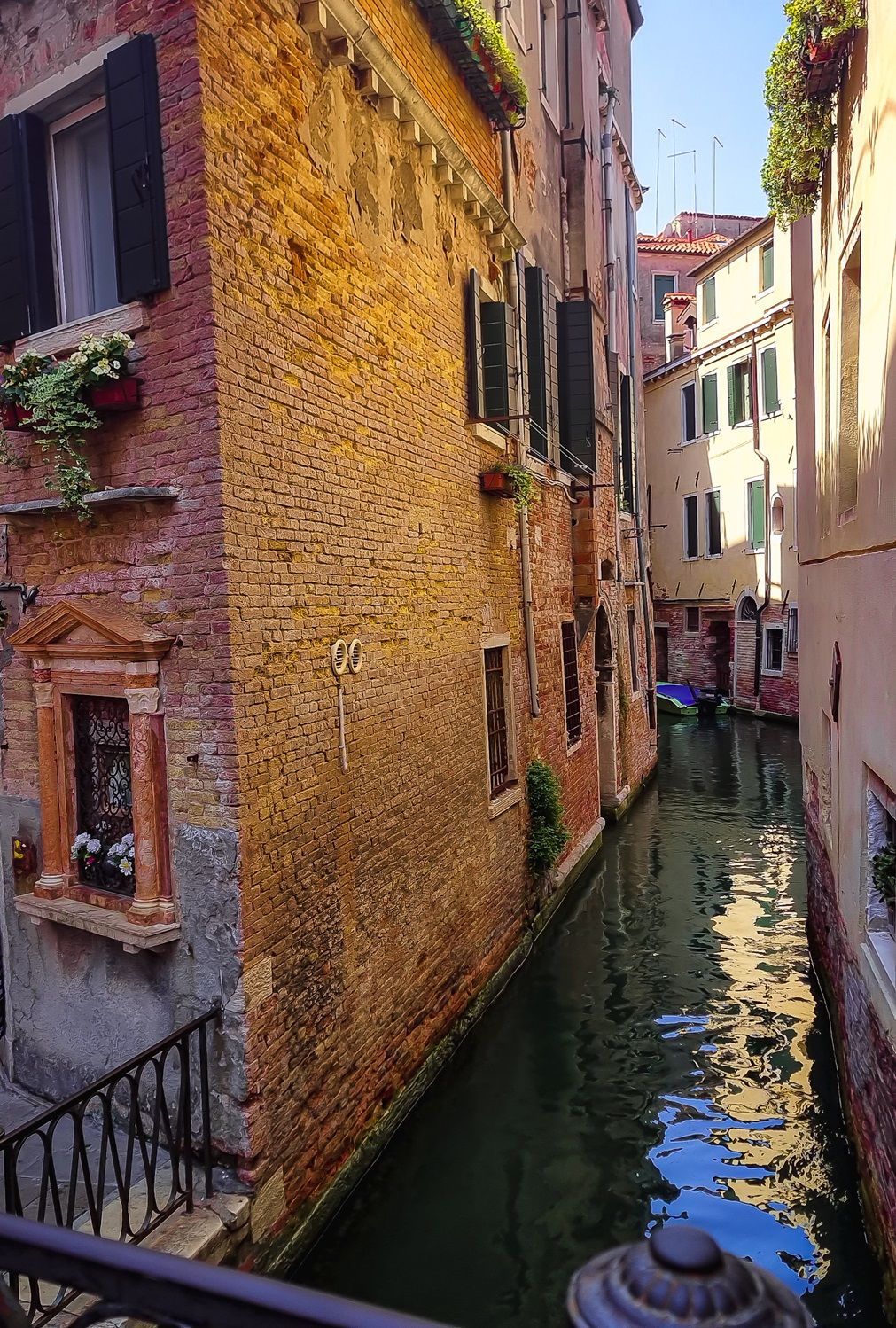 20230817_121649.jpg