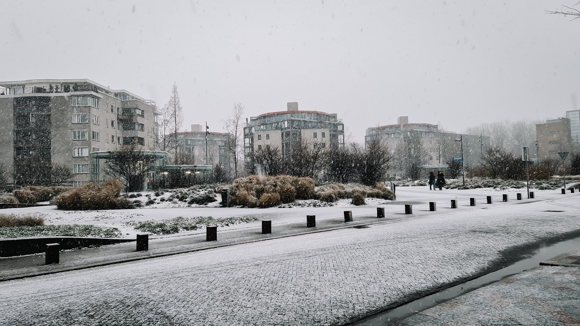 20230120_103553.jpg