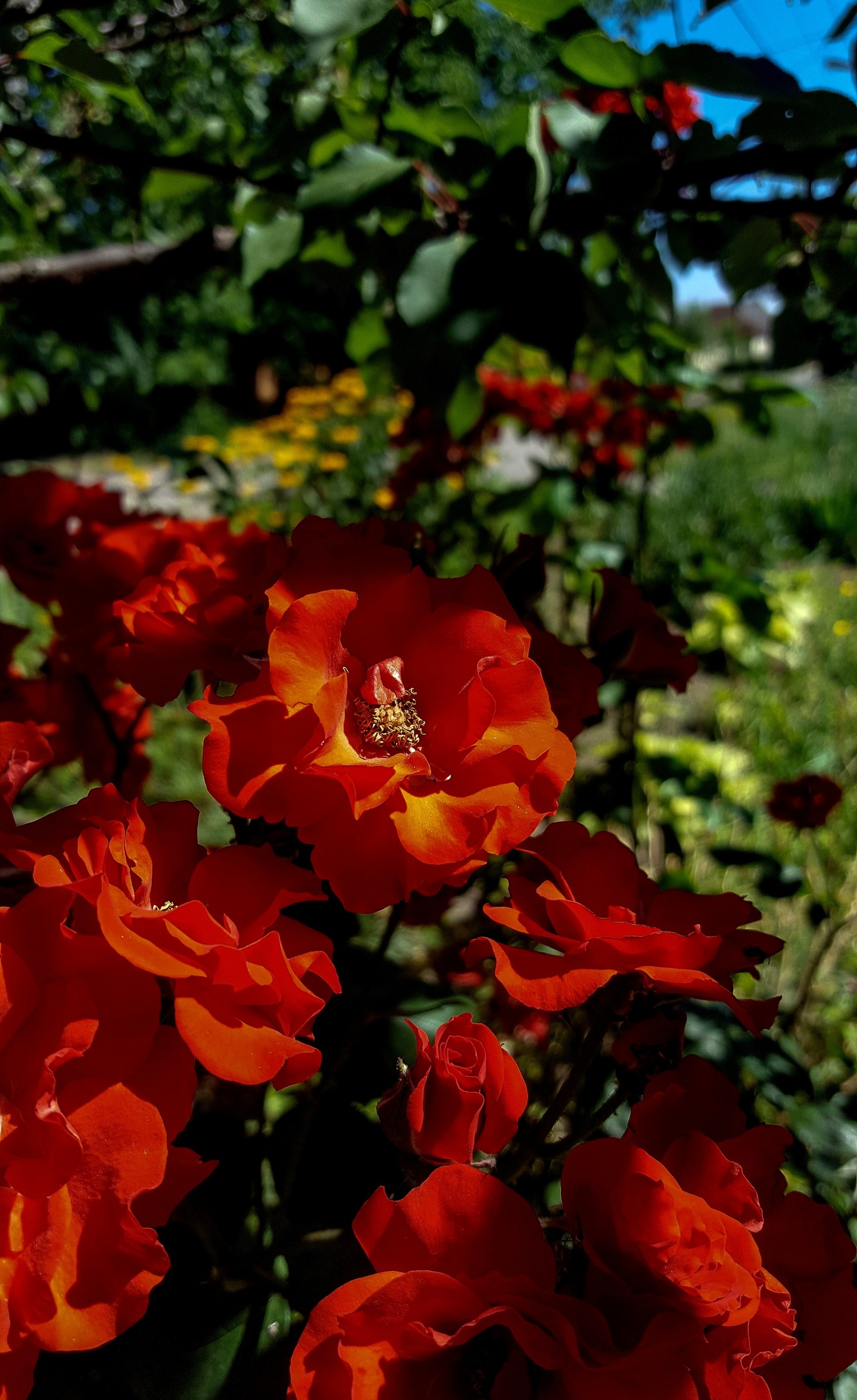 20200624_144019.jpg