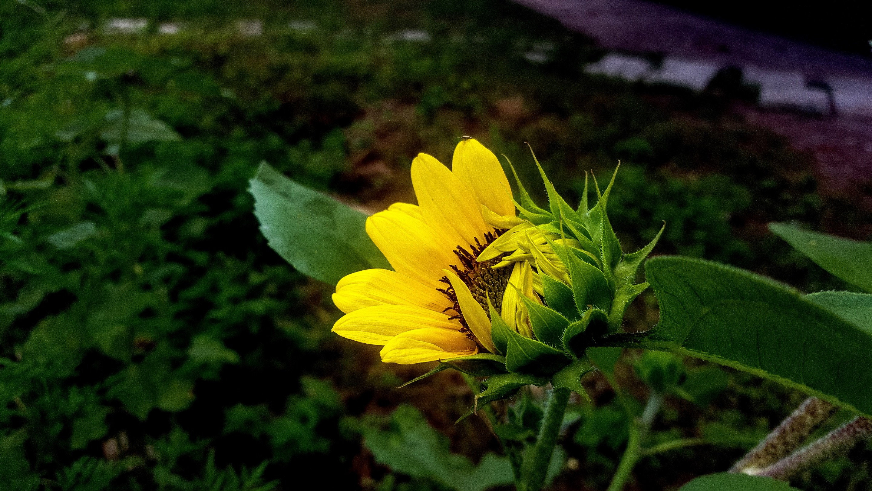 20200715_172639.jpg