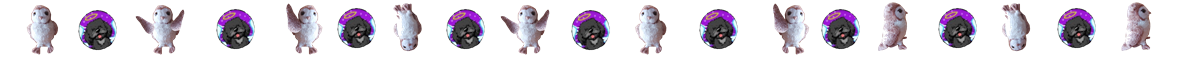 buhoypromex.png