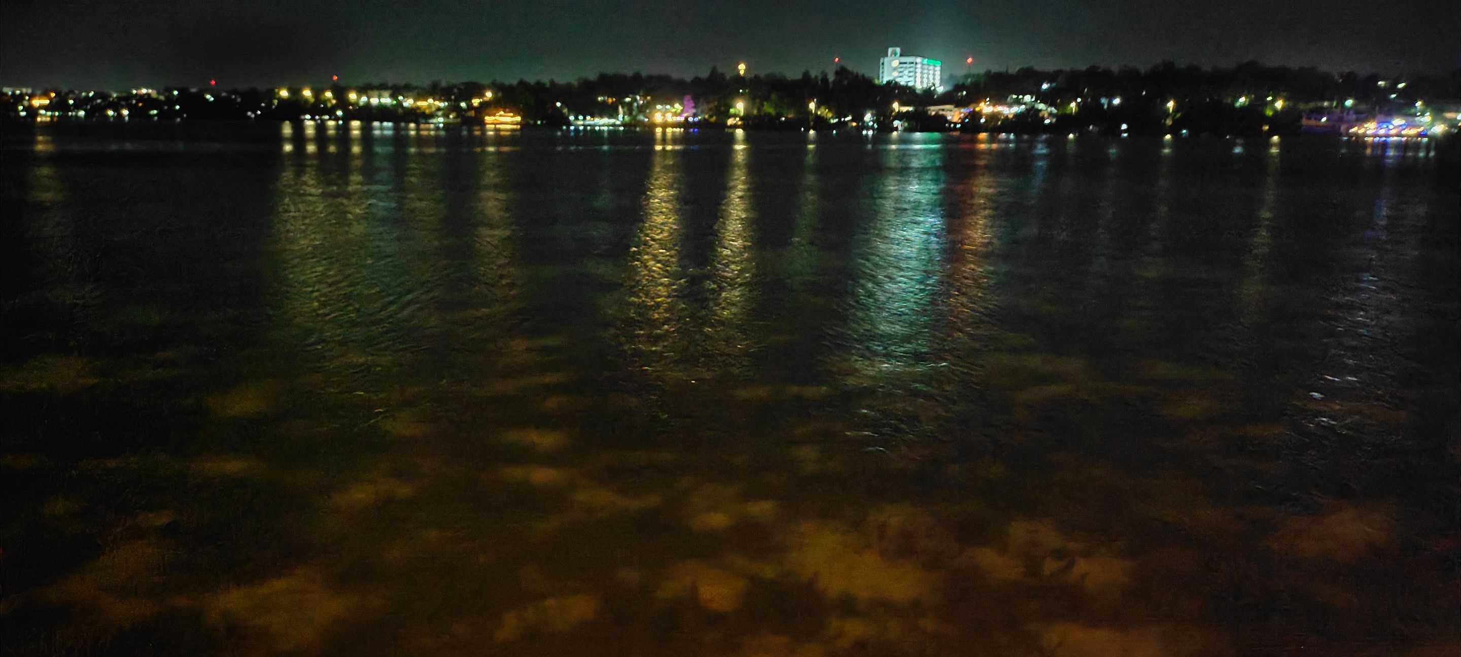 IMG_20221012_181919.jpg