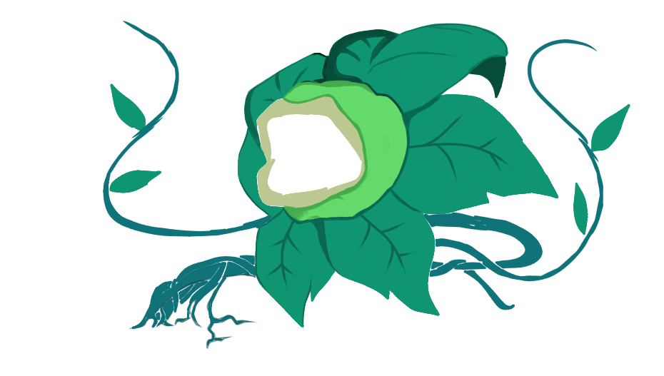 image-4.png