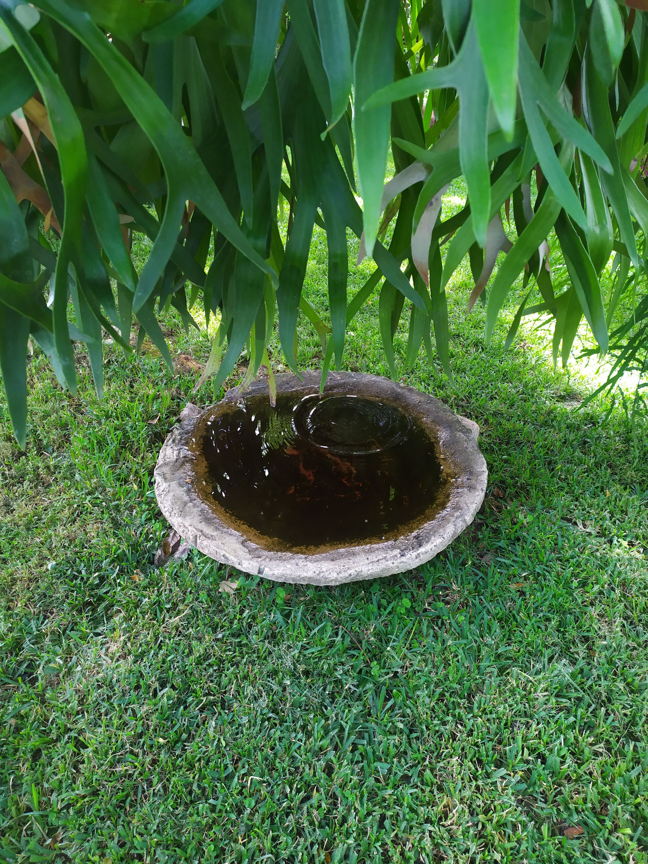 IMG_20250701_152523.jpg