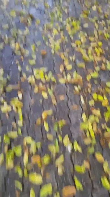 Sin título - Secuencia 01 6 (1).gif