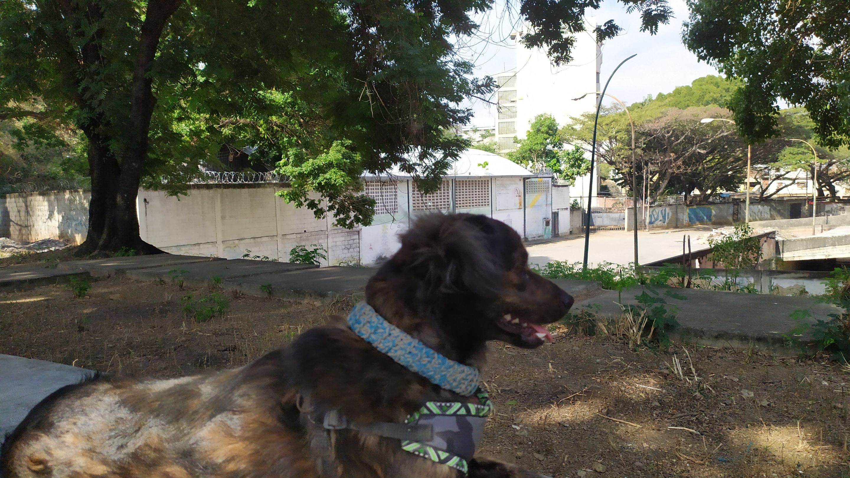 IMG_20220125_095352.jpg