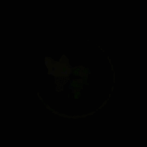 Cierre de splinterlands.gif