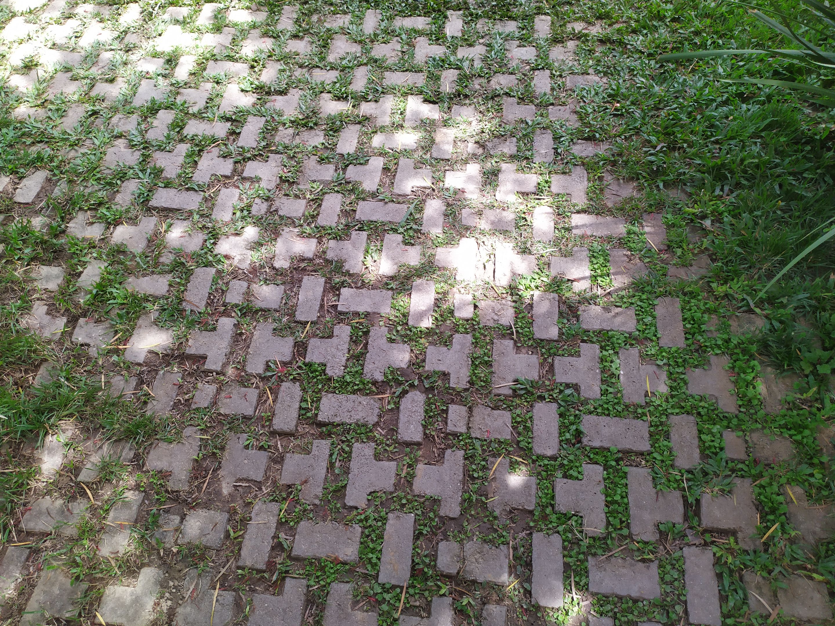 IMG_20250701_140807.jpg