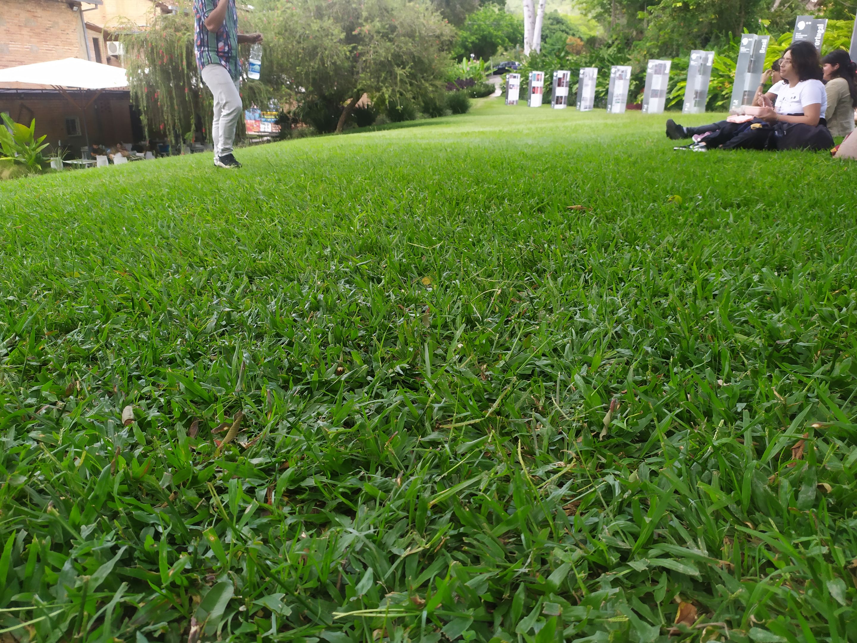 IMG_20250701_134147.jpg