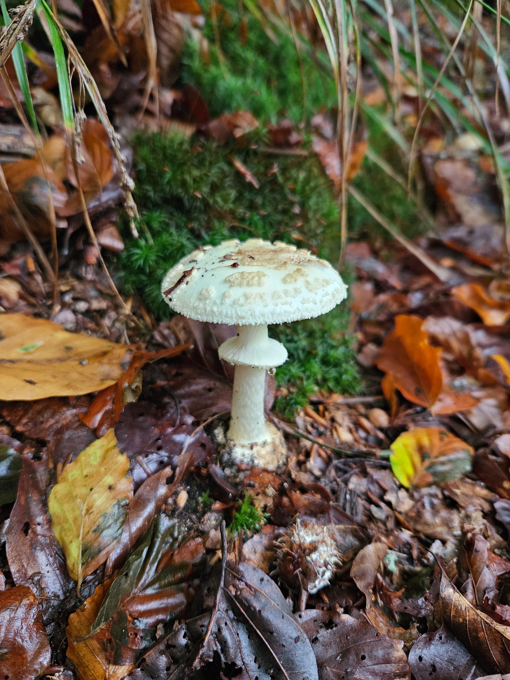 20250926_142918.jpg