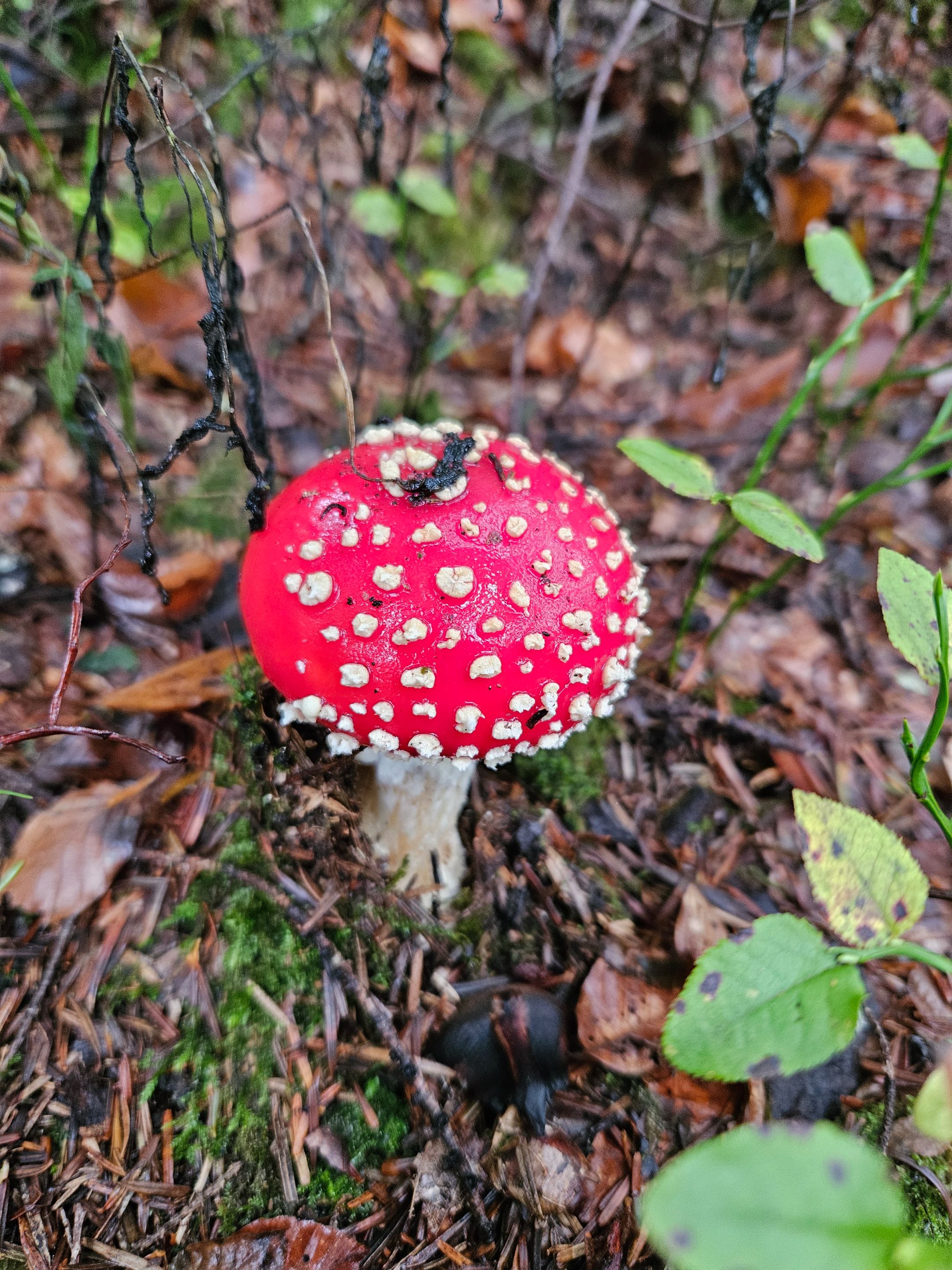 20250926_130330.jpg