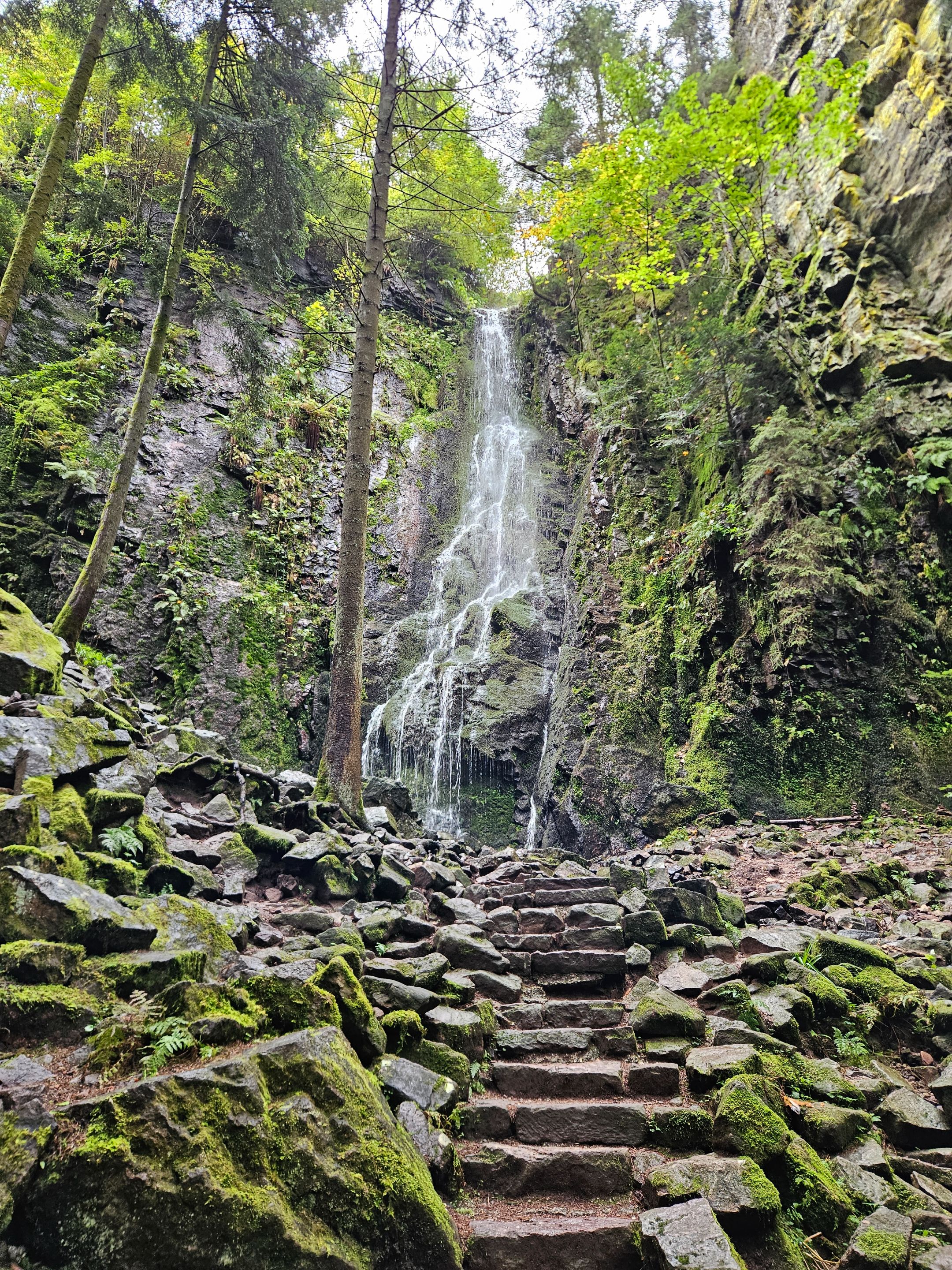 20250926_135811.jpg