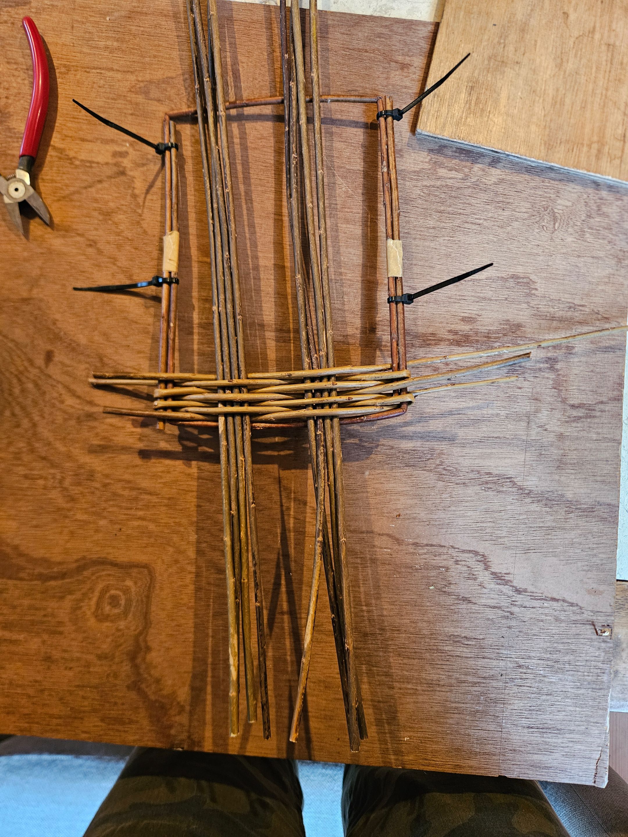 1000116616.jpg