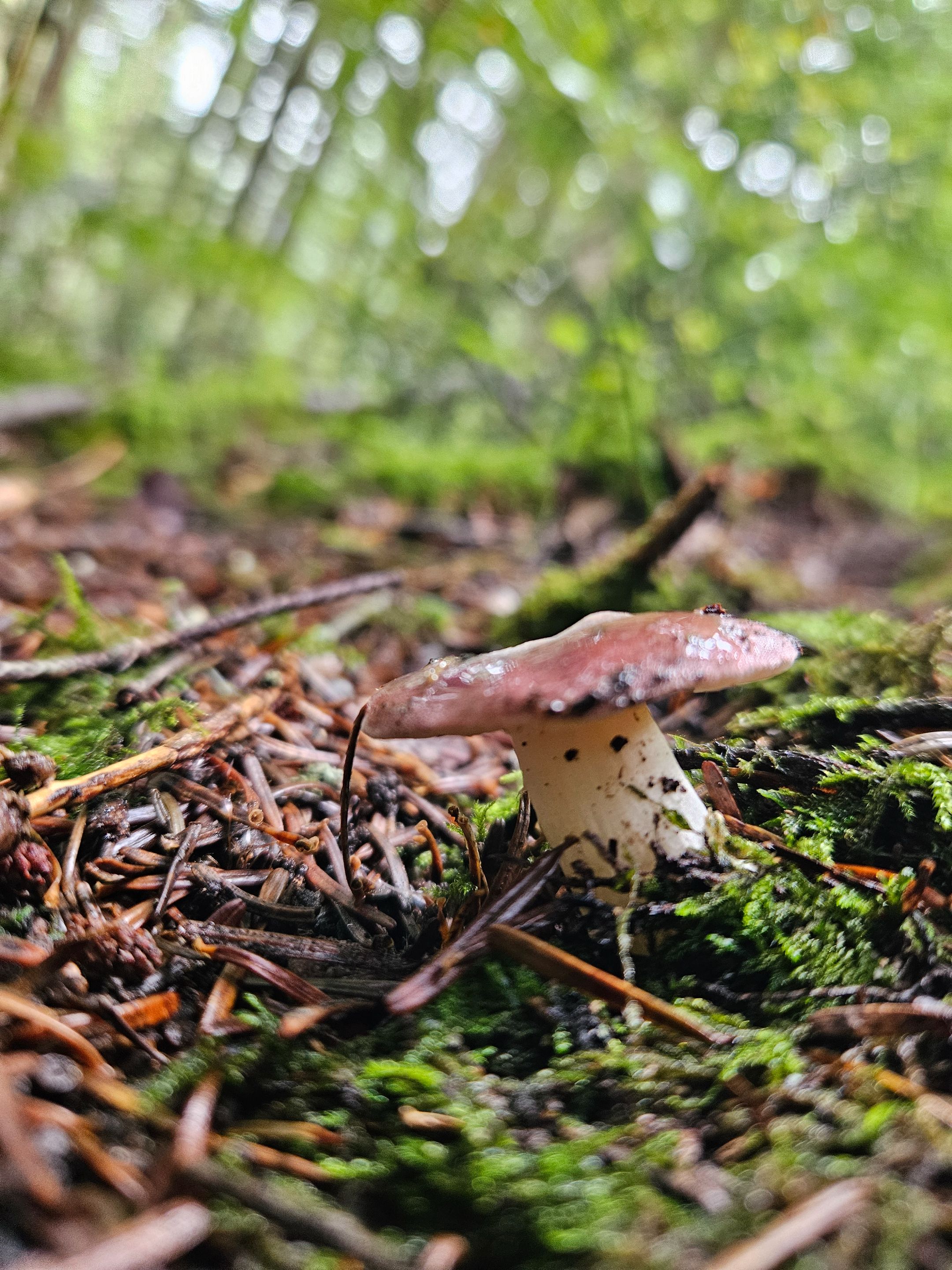 20250926_132228.jpg