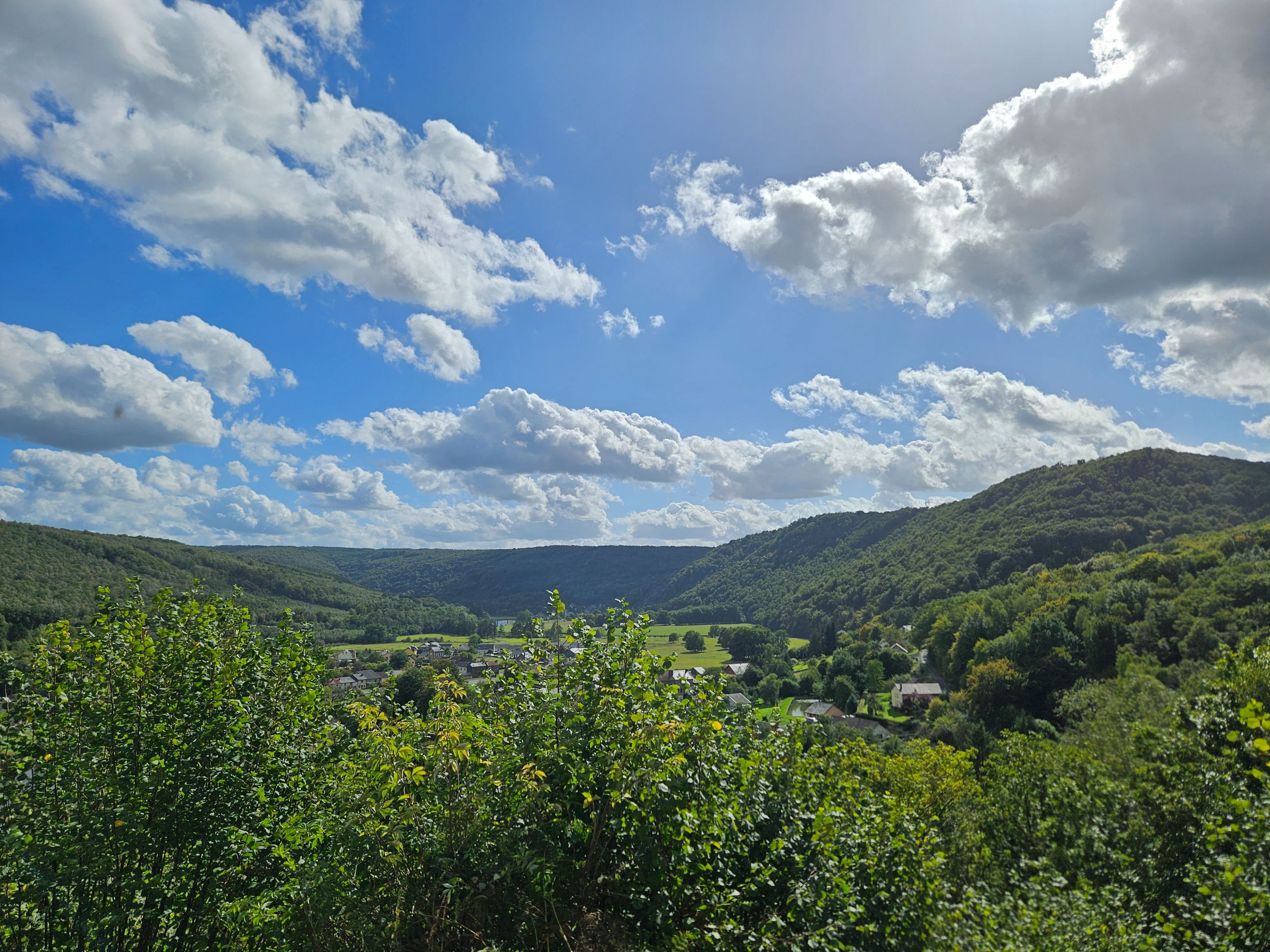 20250915_151703.jpg