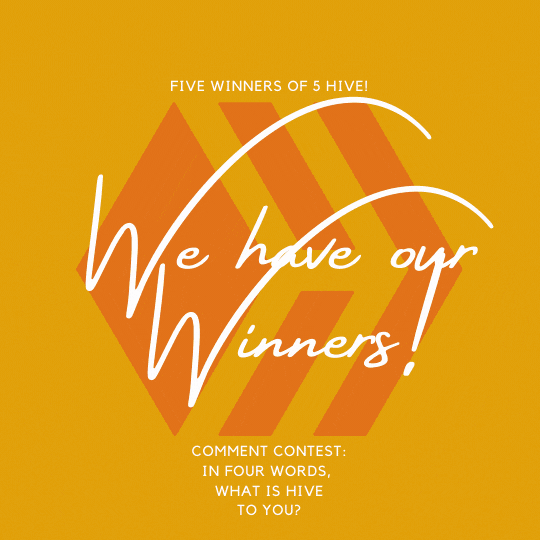 Orange Giveaway Winner Instagram Post.gif