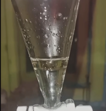 The Yield of Essential Oil after the Second Round of Distilling. I reused the hydrosol (water portion) from the first round since it is saturated in essential oil to increase the yield in the 2nd round. This is a little trick you can do to improve yields when doing several rounds of the same material