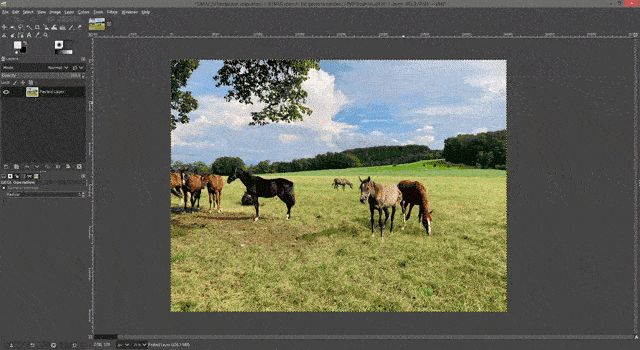LMAC52Process.gif
