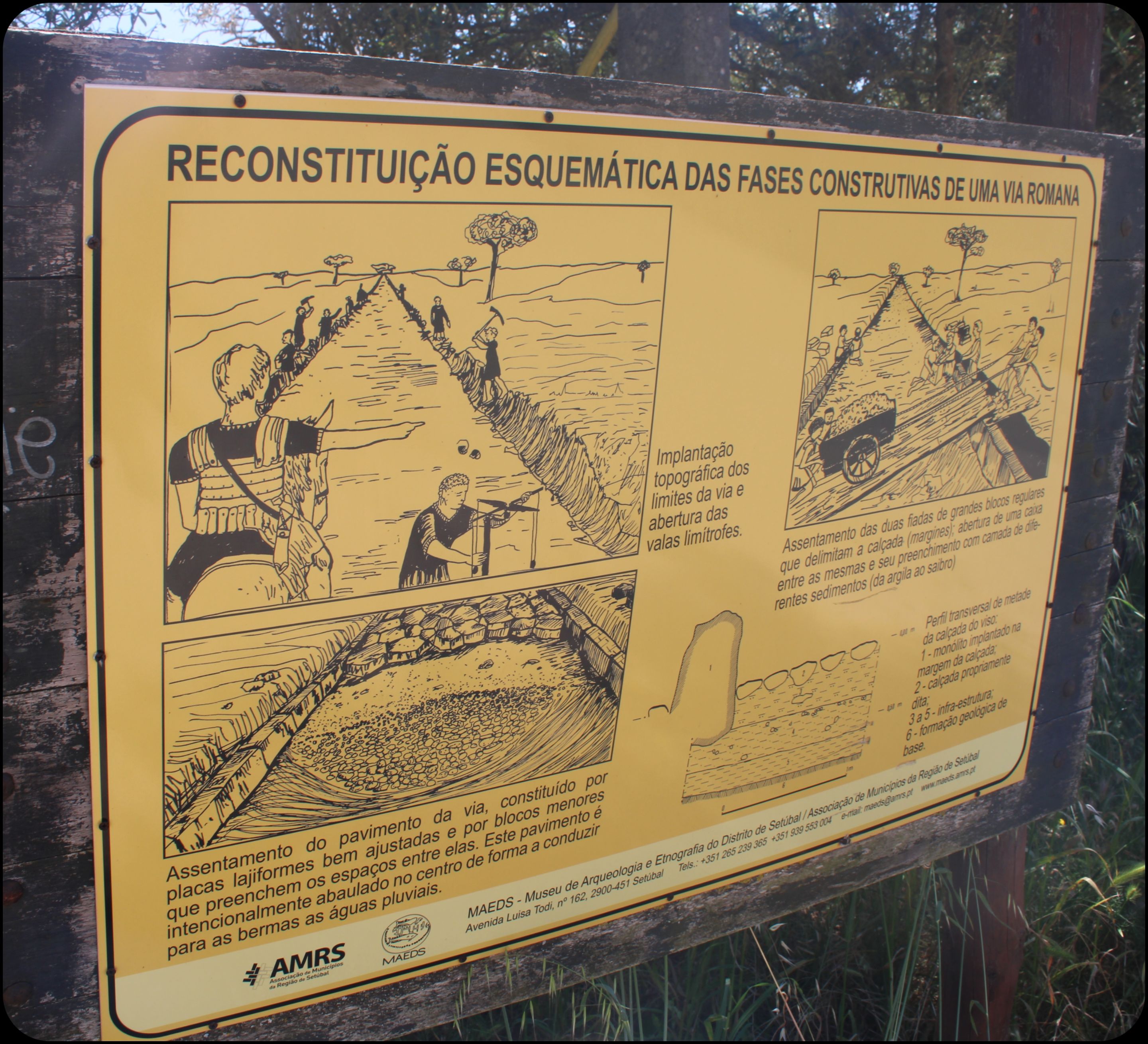 TERCER2.jpg