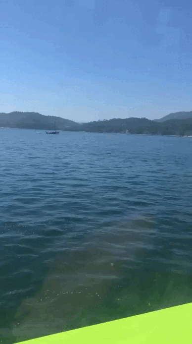 WhatsApp Video 2025-08-04 at 08.07.31.gif