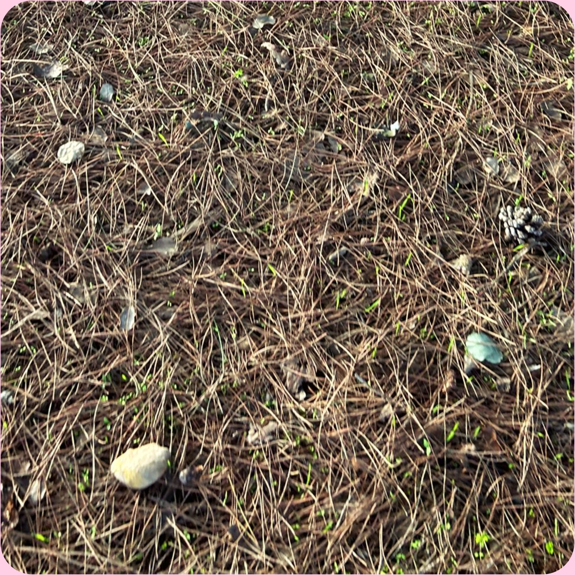 segundo4 editado.jpg