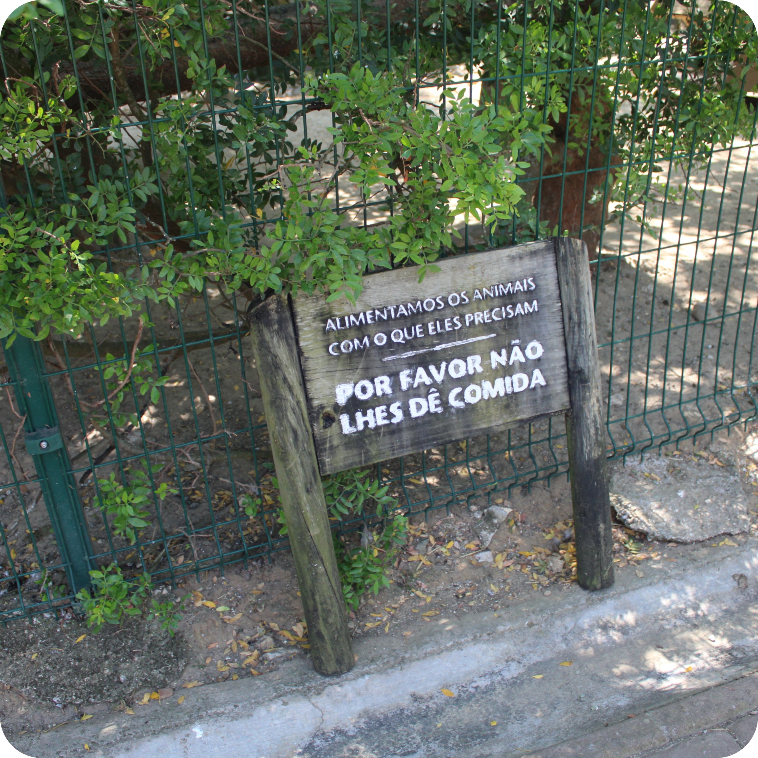 SEGUNDO11.jpg