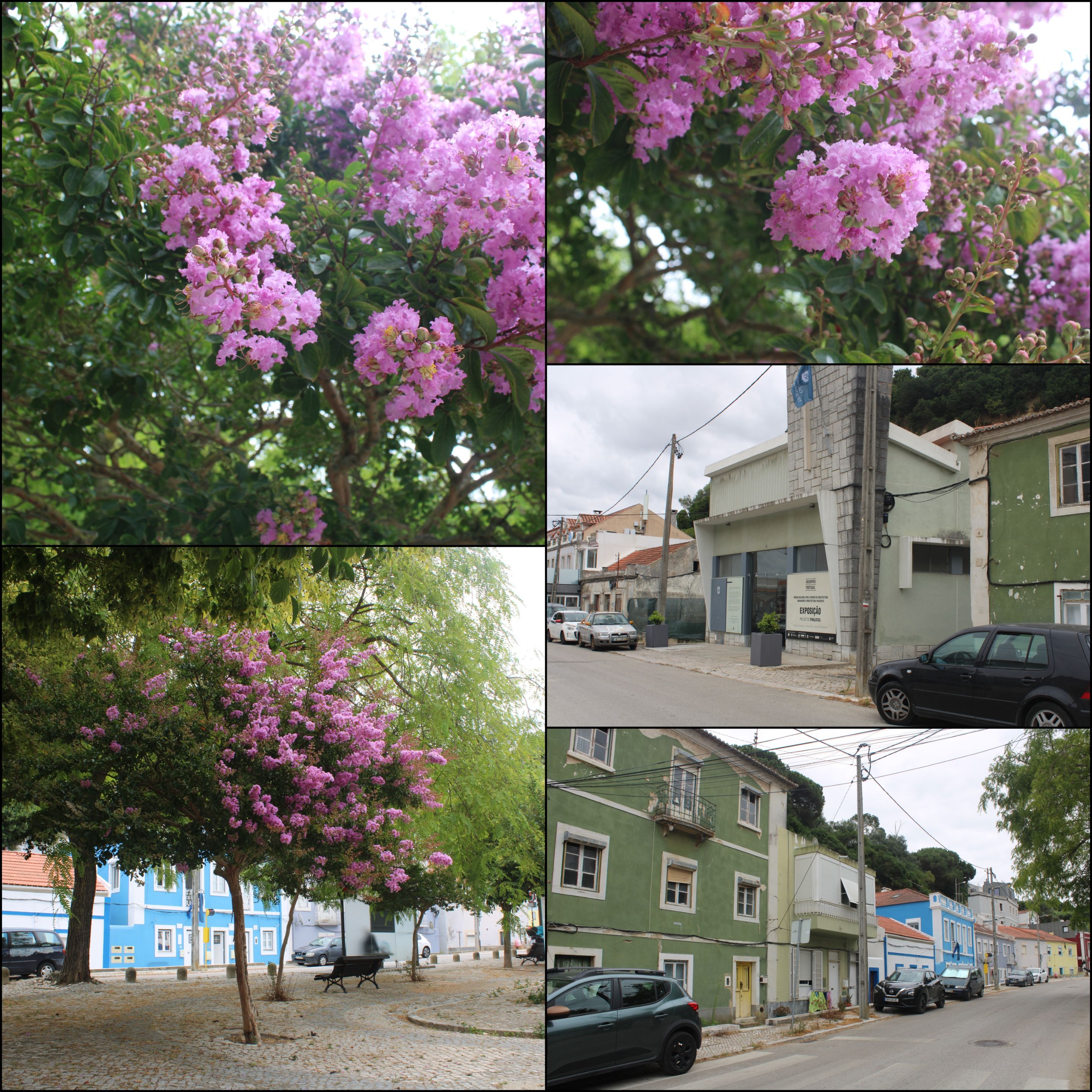 segundo2.jpg