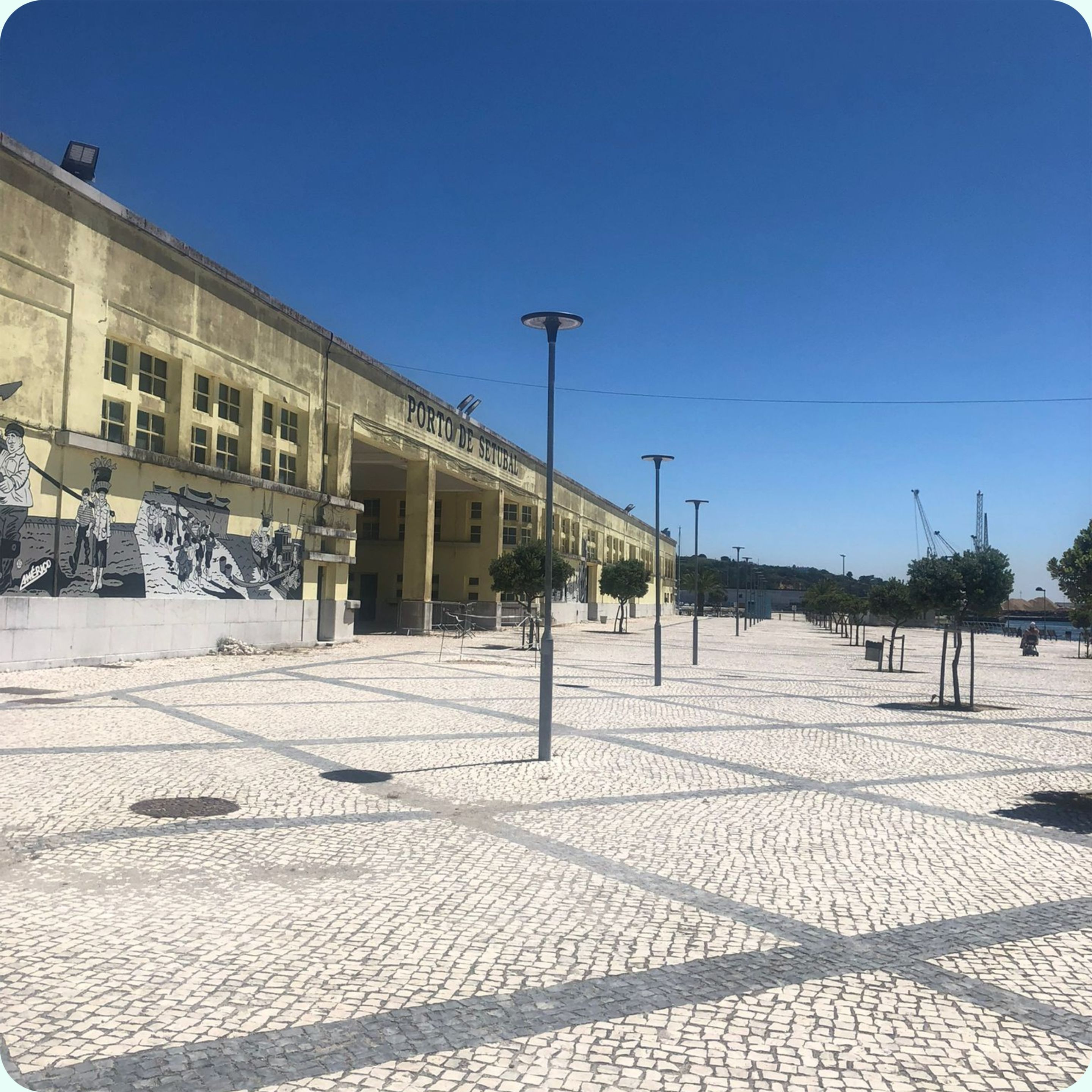 segundo19.jpg