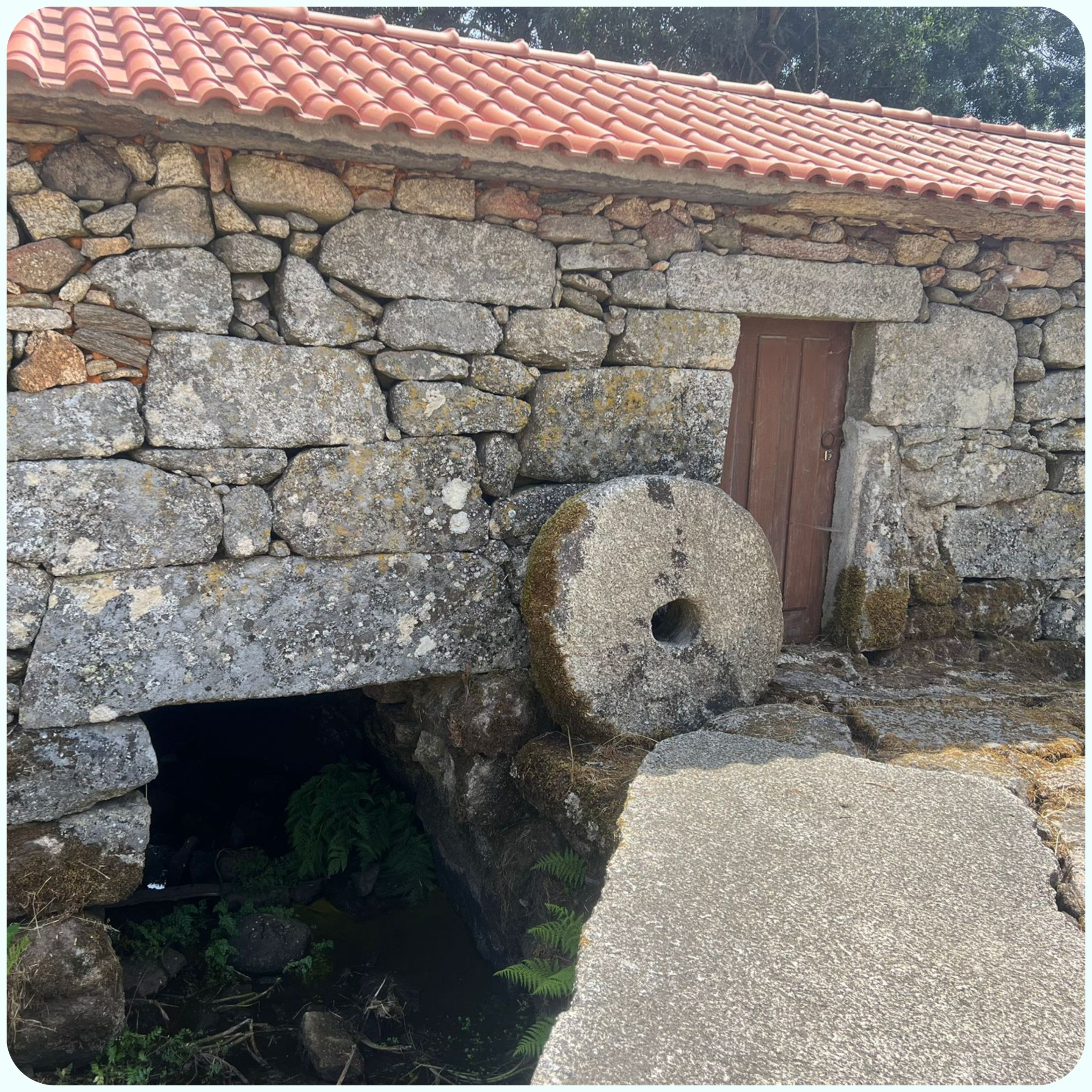 tercer7.jpg